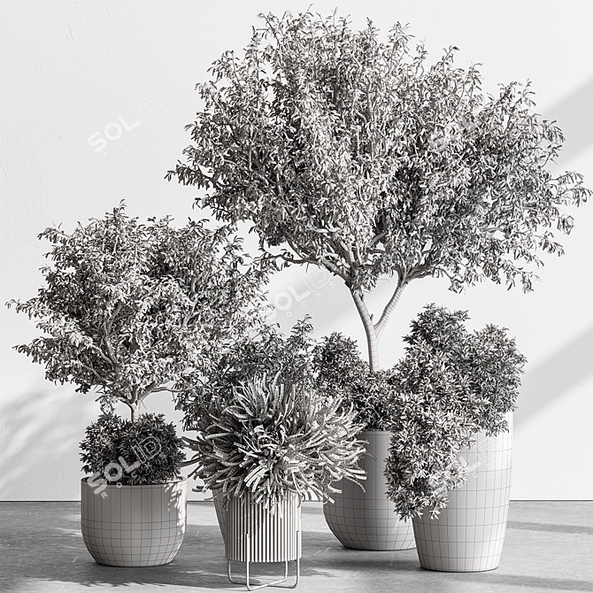 Interior Tree in Pot 3D model image 6