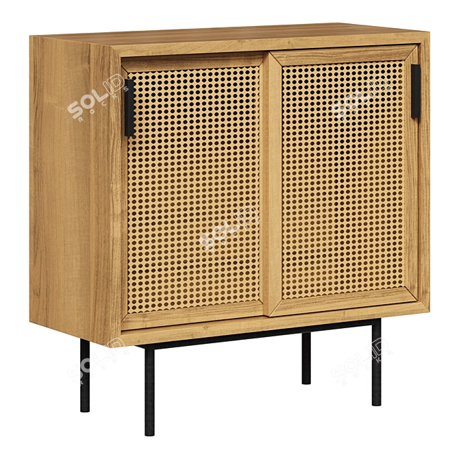 Modern 2-Door WASKA Cabinet 3D model image 1