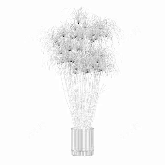 Nofretete Cyperus in Modern Planter 3D model image 4