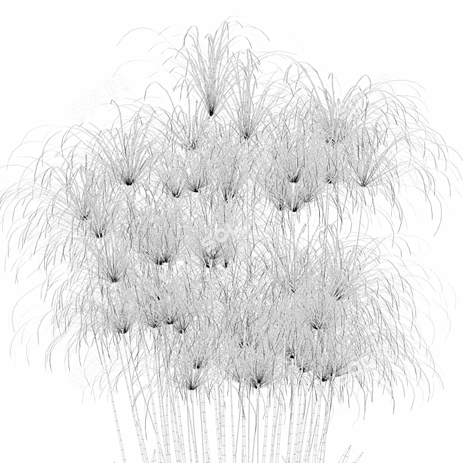 Nofretete Cyperus in Modern Planter 3D model image 5