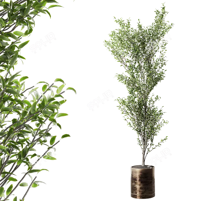 Modern Metal Pot Live Plant 3D model image 1