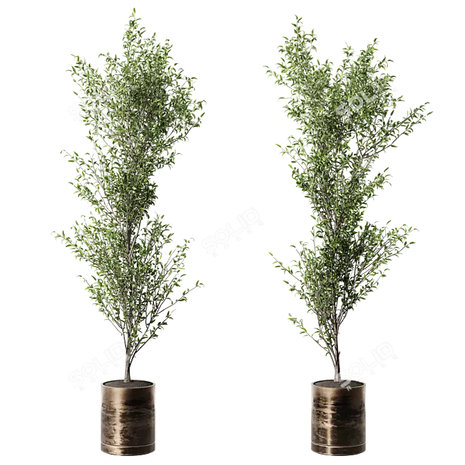 Modern Metal Pot Live Plant 3D model image 2