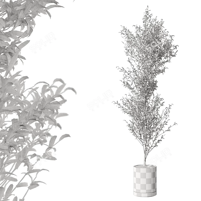 Modern Metal Pot Live Plant 3D model image 3