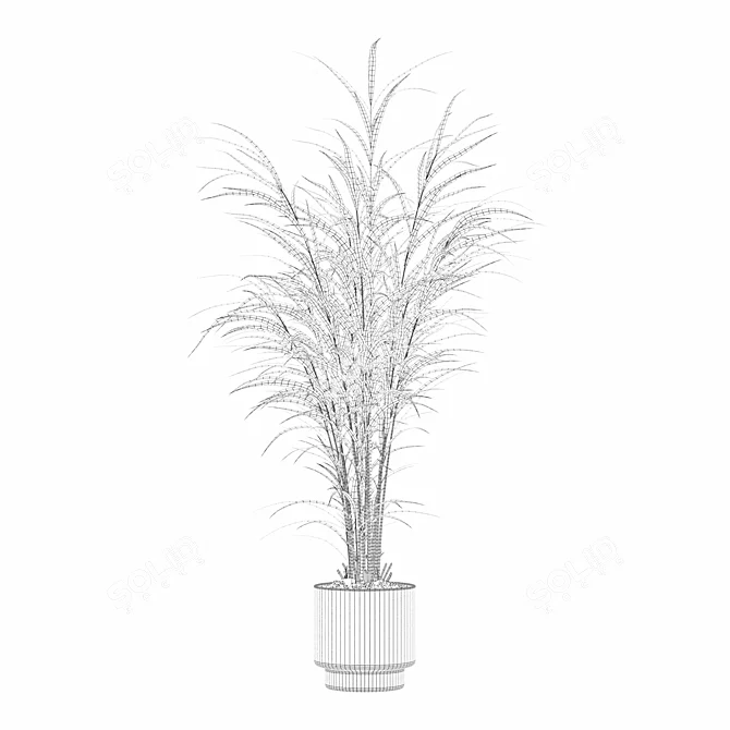 Modern Flower Pot Areca Palm 3D model image 4