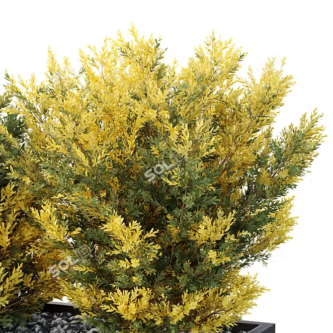 Outdoor Garden Box 3D Models 3D model image 4