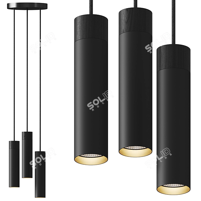 Adjustable Height 3-Spot Pendant 3D model image 1