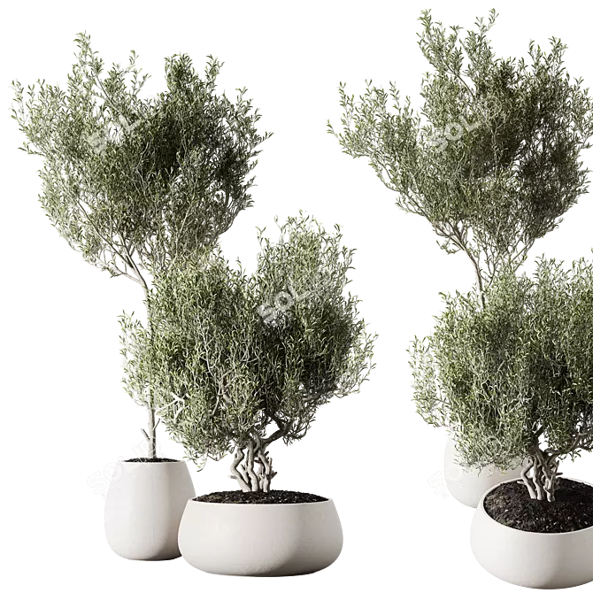 Metal Planter Set with Live Plants 3D model image 1