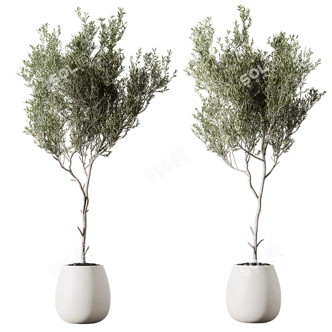 Metal Planter Set with Live Plants 3D model image 2