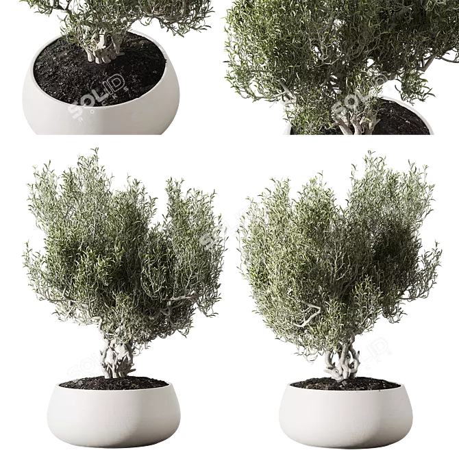 Metal Planter Set with Live Plants 3D model image 3