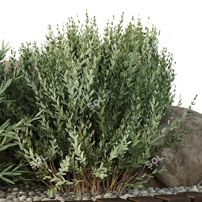 Outdoor HQ Tree Bush Garden Box VOL40 3D model image 4