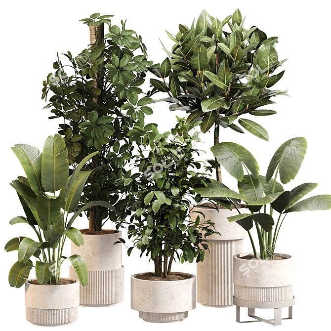 Exquisite Indoor Greenery Set 024 3D model image 1