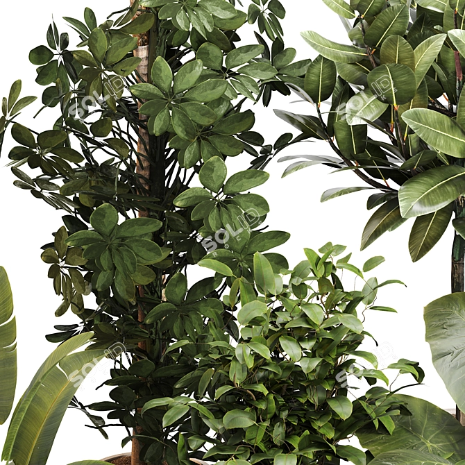 Exquisite Indoor Greenery Set 024 3D model image 3