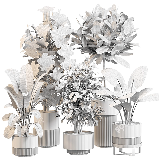 Exquisite Indoor Greenery Set 024 3D model image 5