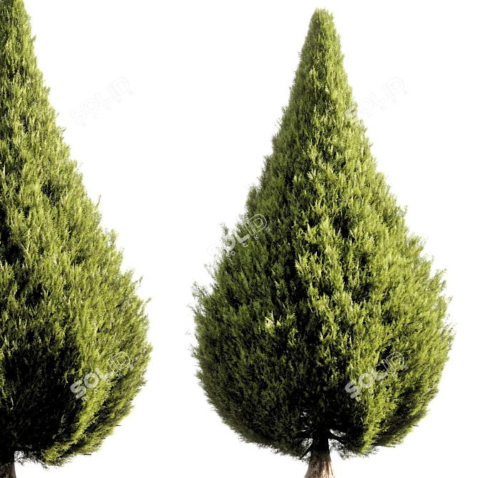  Unique 3D Render Bush Tree 3D model image 1