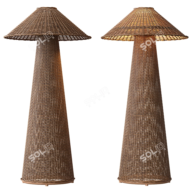 Natural Rattan Iron Floor Lamp 3D model image 1