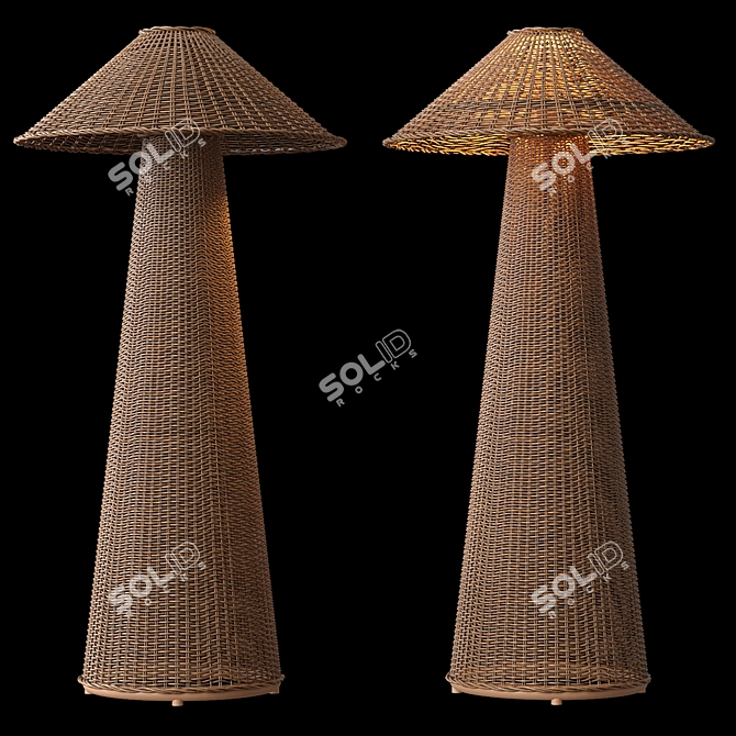 Natural Rattan Iron Floor Lamp 3D model image 2