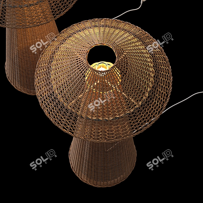 Natural Rattan Iron Floor Lamp 3D model image 3