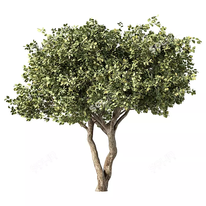 Modern Rustic Tree Sculpture 3D model image 1