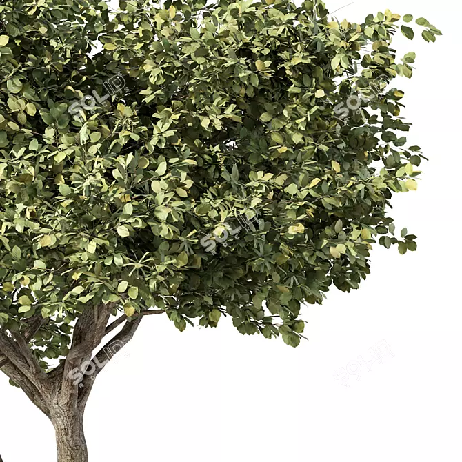 Modern Rustic Tree Sculpture 3D model image 2