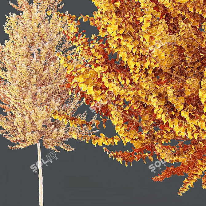 Hybrid Maple Plant 3D Models 3D model image 5