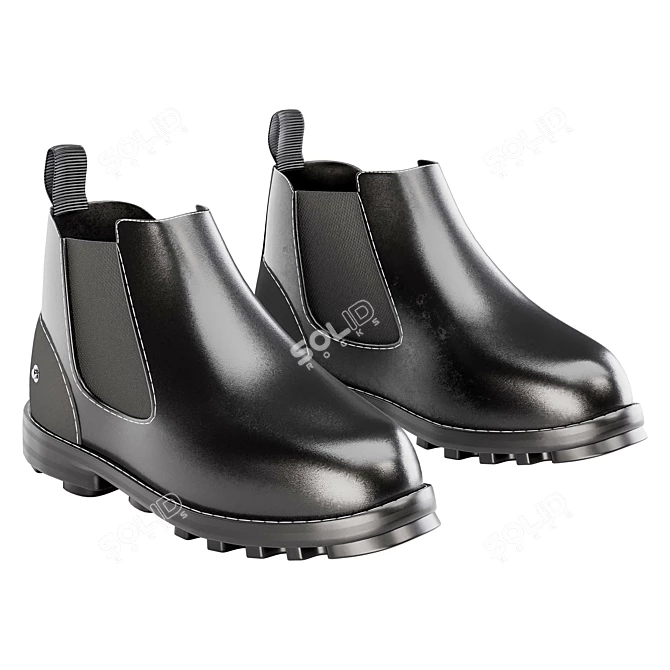 James Black & Brown Boots 3D model image 2