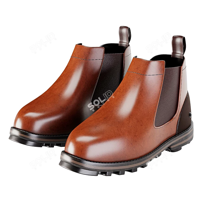 James Black & Brown Boots 3D model image 3