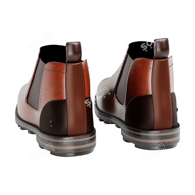 James Black & Brown Boots 3D model image 4