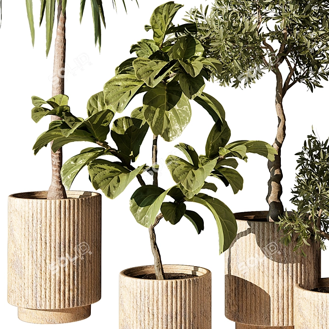 Botanical Beauty 465: Exquisite Greenery 3D model image 3