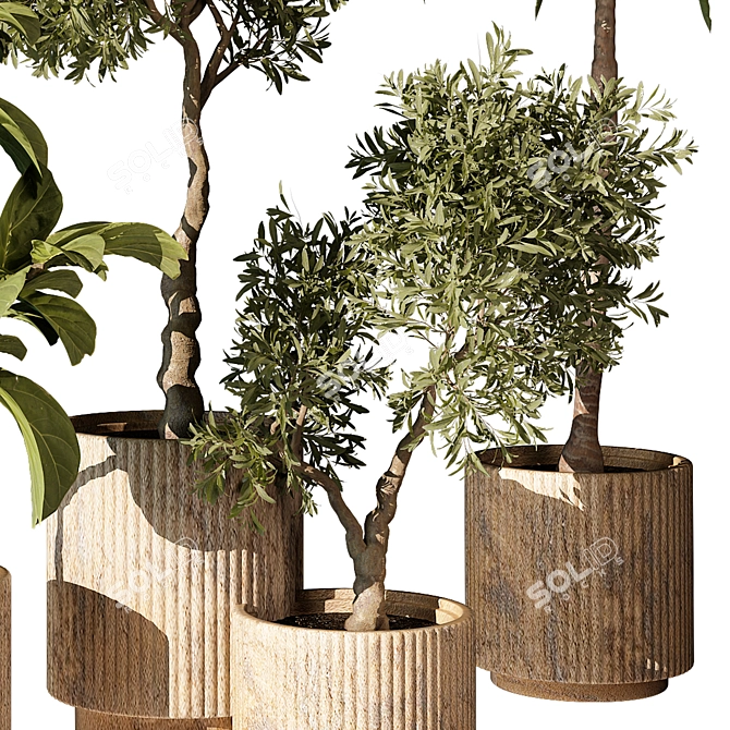 Botanical Beauty 465: Exquisite Greenery 3D model image 4