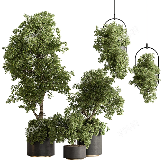  Indoor Plant 644 - Tree in Pot 3D model image 1