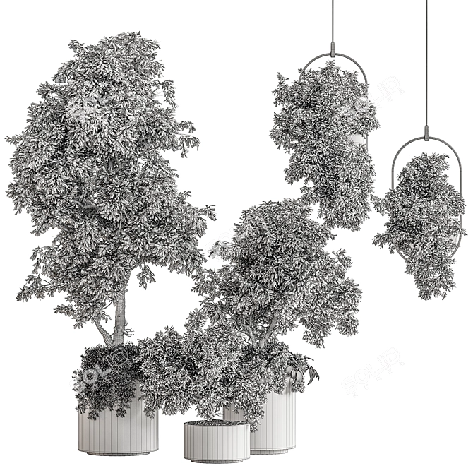  Indoor Plant 644 - Tree in Pot 3D model image 5