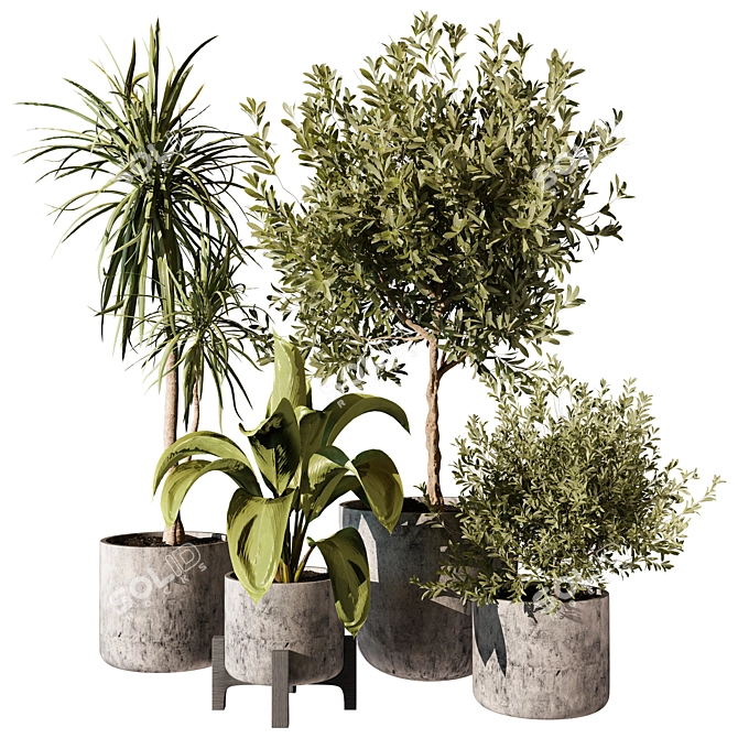 Modern Indoor Plant 3D Model 3D model image 1