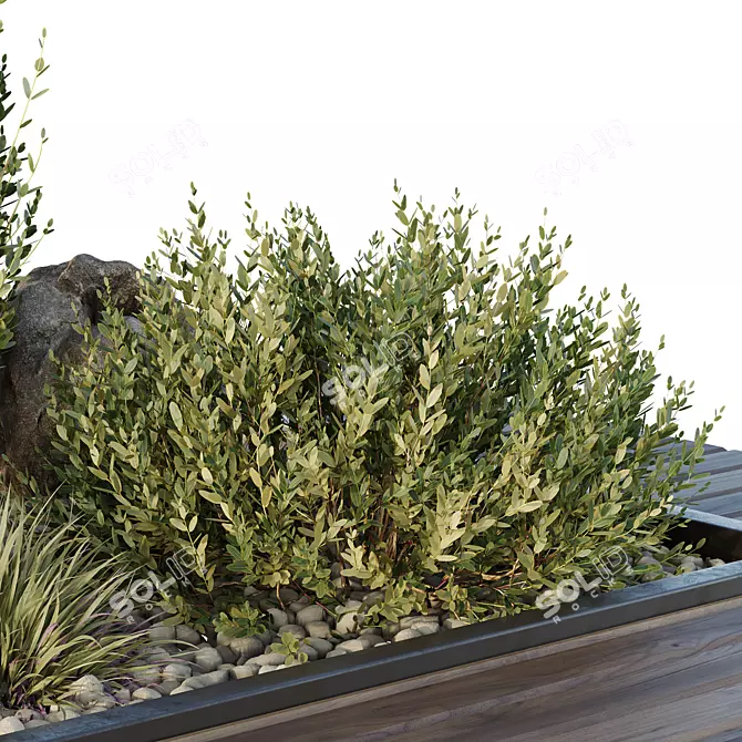 Outdoor Garden Box Bush Collection 3D model image 3