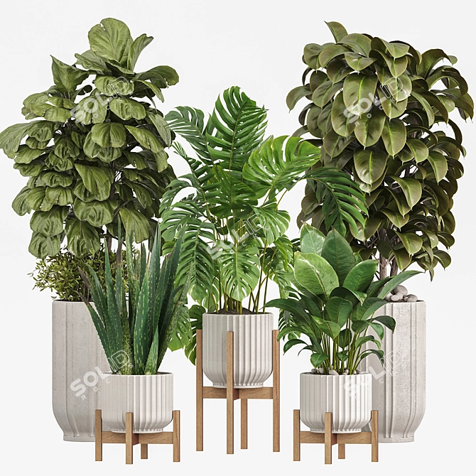 Modern Indoor Plants Set 029 3D model image 1