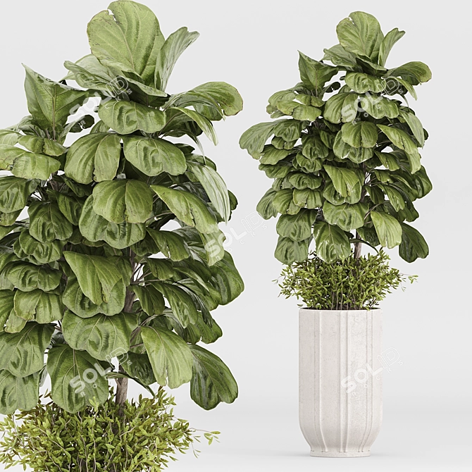 Modern Indoor Plants Set 029 3D model image 3