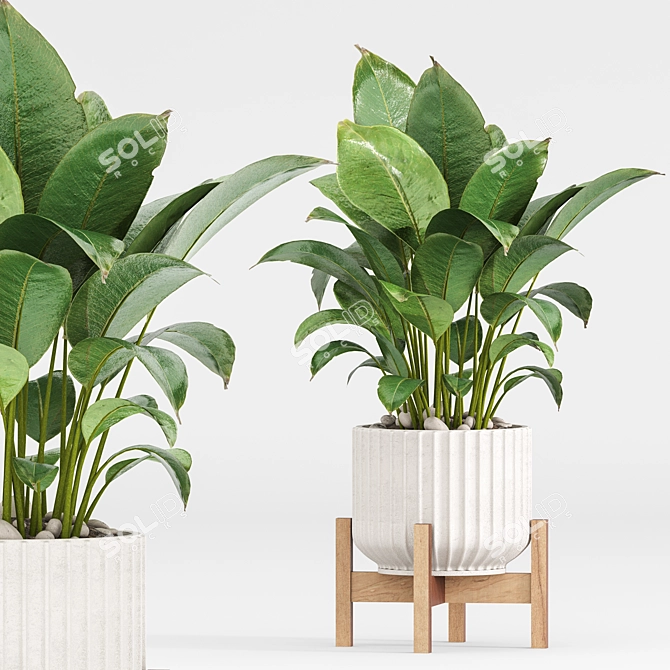 Modern Indoor Plants Set 029 3D model image 6