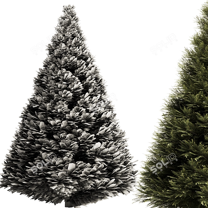 High-Quality Pine Tree Set3 Model 3D model image 3