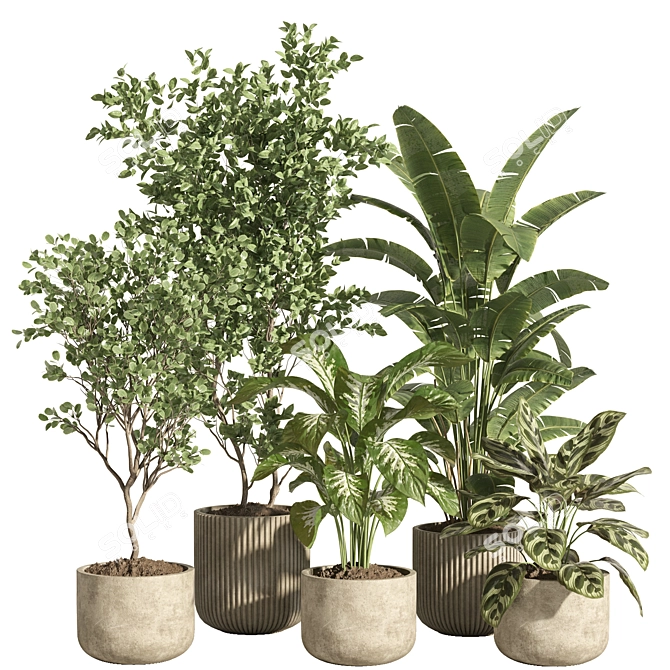 Urban Oasis Plant Set 3D model image 1