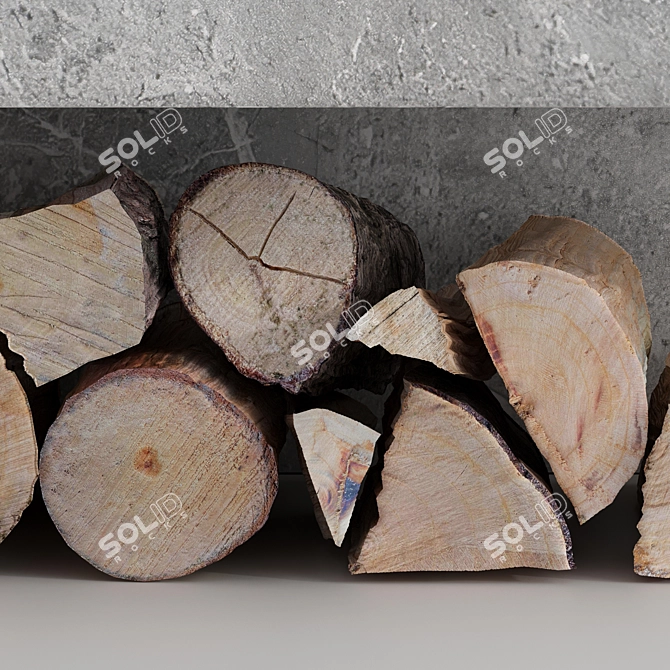 Romotop Decorative Wall Set Firewood 3D model image 5