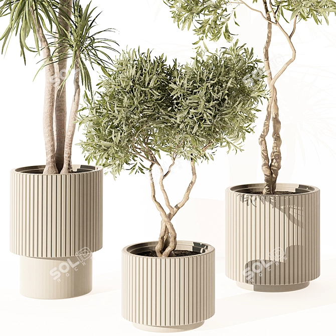 Modern Indoor Plant 3D Model 3D model image 2