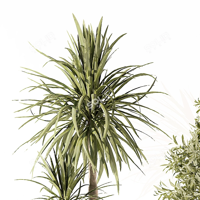 Modern Indoor Plant 3D Model 3D model image 3