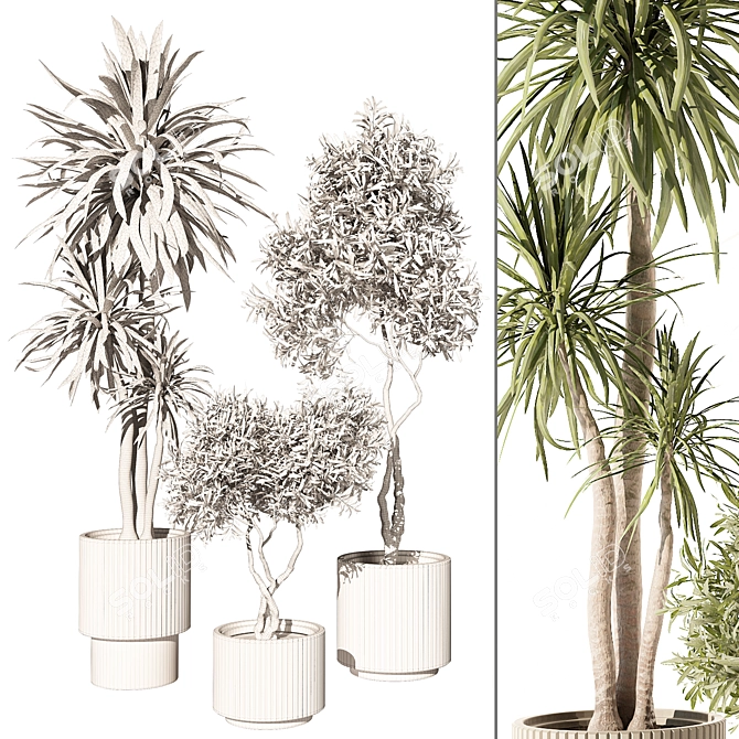 Modern Indoor Plant 3D Model 3D model image 4