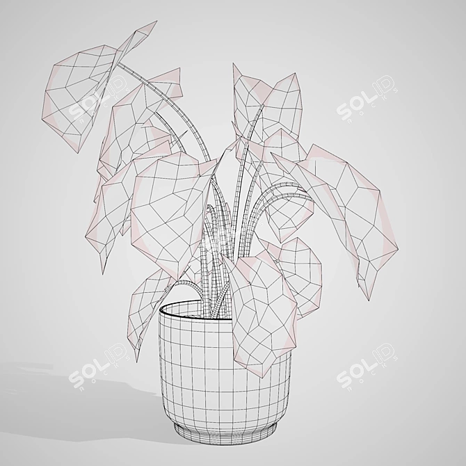 Tropical Trio 3D Potted Plants 3D model image 6