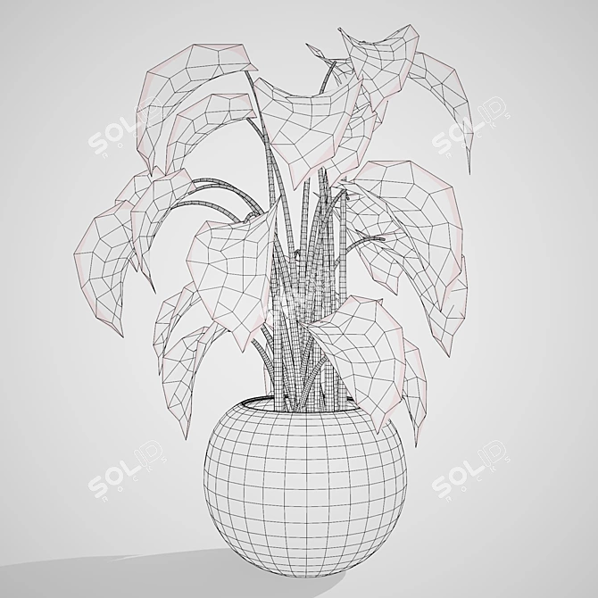 Tropical Trio 3D Potted Plants 3D model image 7