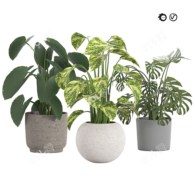 Tropical Trio 3D Potted Plants 3D model image 8
