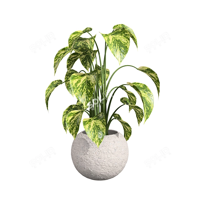 Tropical Trio 3D Potted Plants 3D model image 13