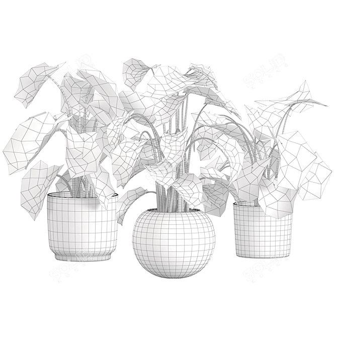 Tropical Trio 3D Potted Plants 3D model image 17