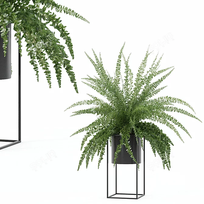 Modern Fern in Decorative Pot 3D model image 1