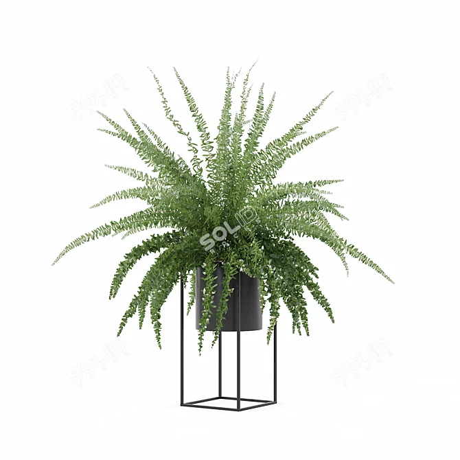 Modern Fern in Decorative Pot 3D model image 2