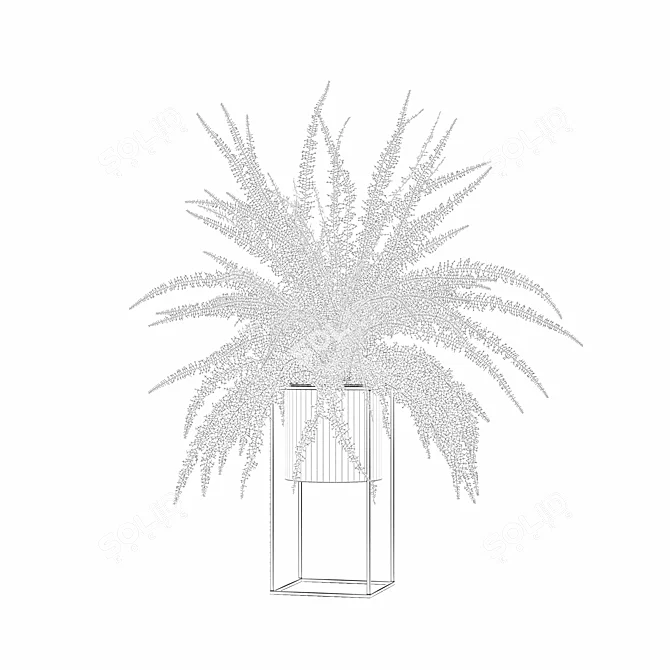 Modern Fern in Decorative Pot 3D model image 5